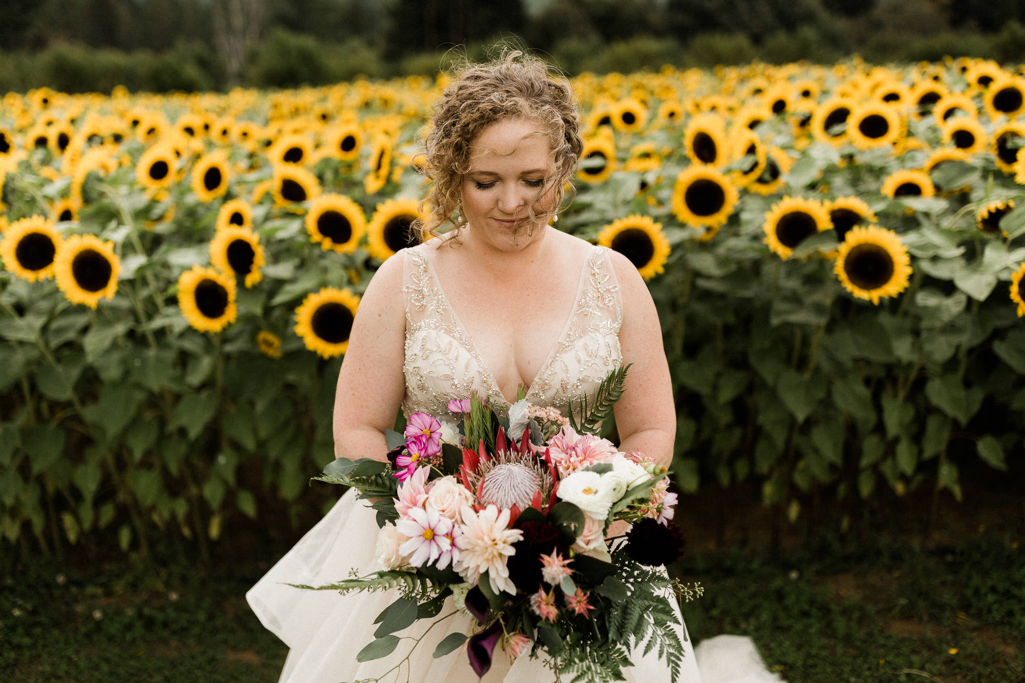 Bride gazes at bouquet in front of sunflower field at Mt View Orchards in Oreogn