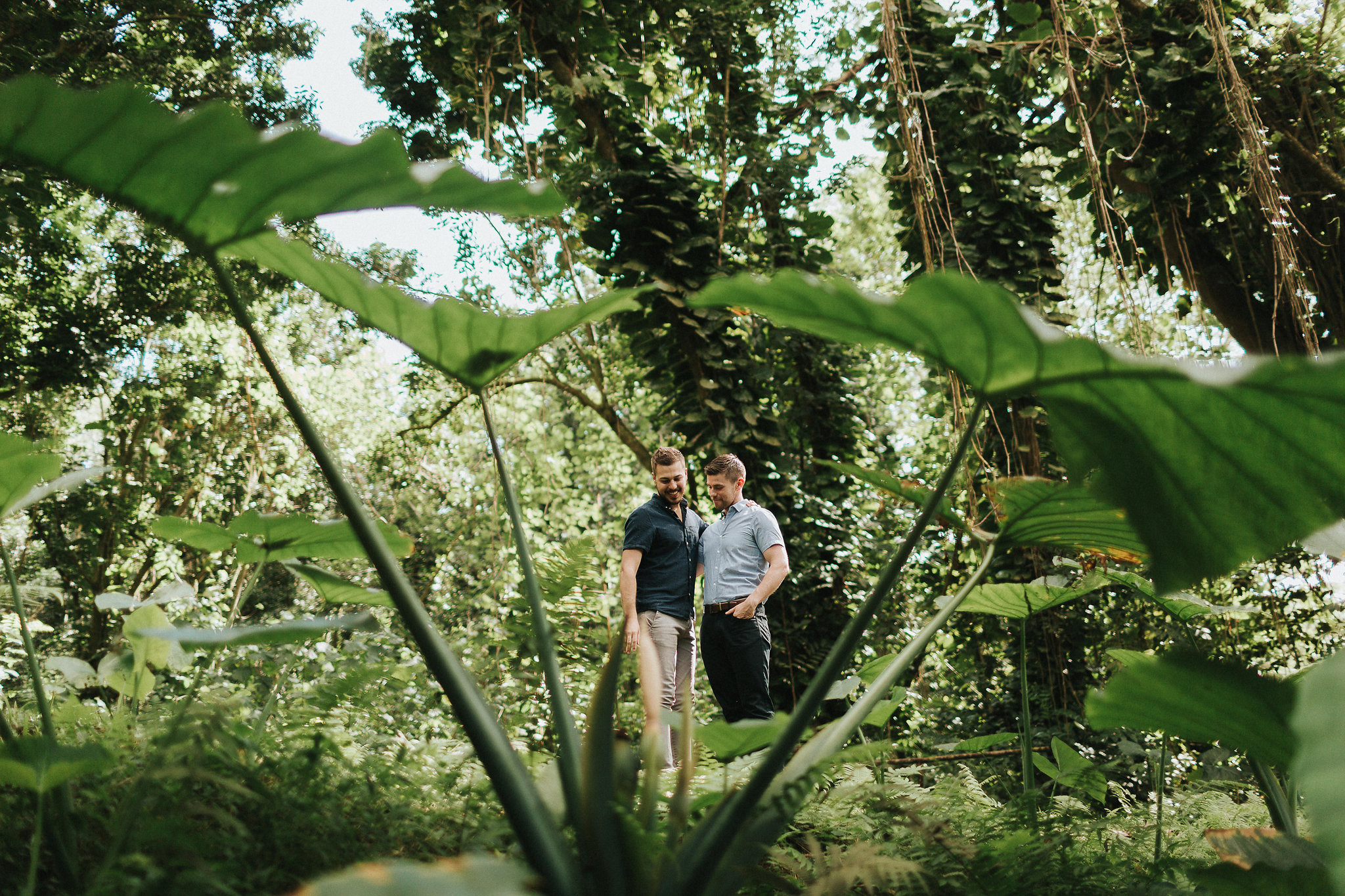 A couple is framed by tropical plants in a forest on Kauai, Hawaii