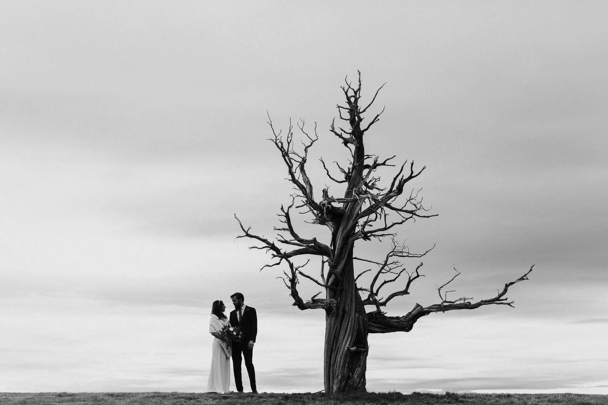 Bride and groom stand by gnarled old tree at Pronghorn Resort in Bend, Oregon