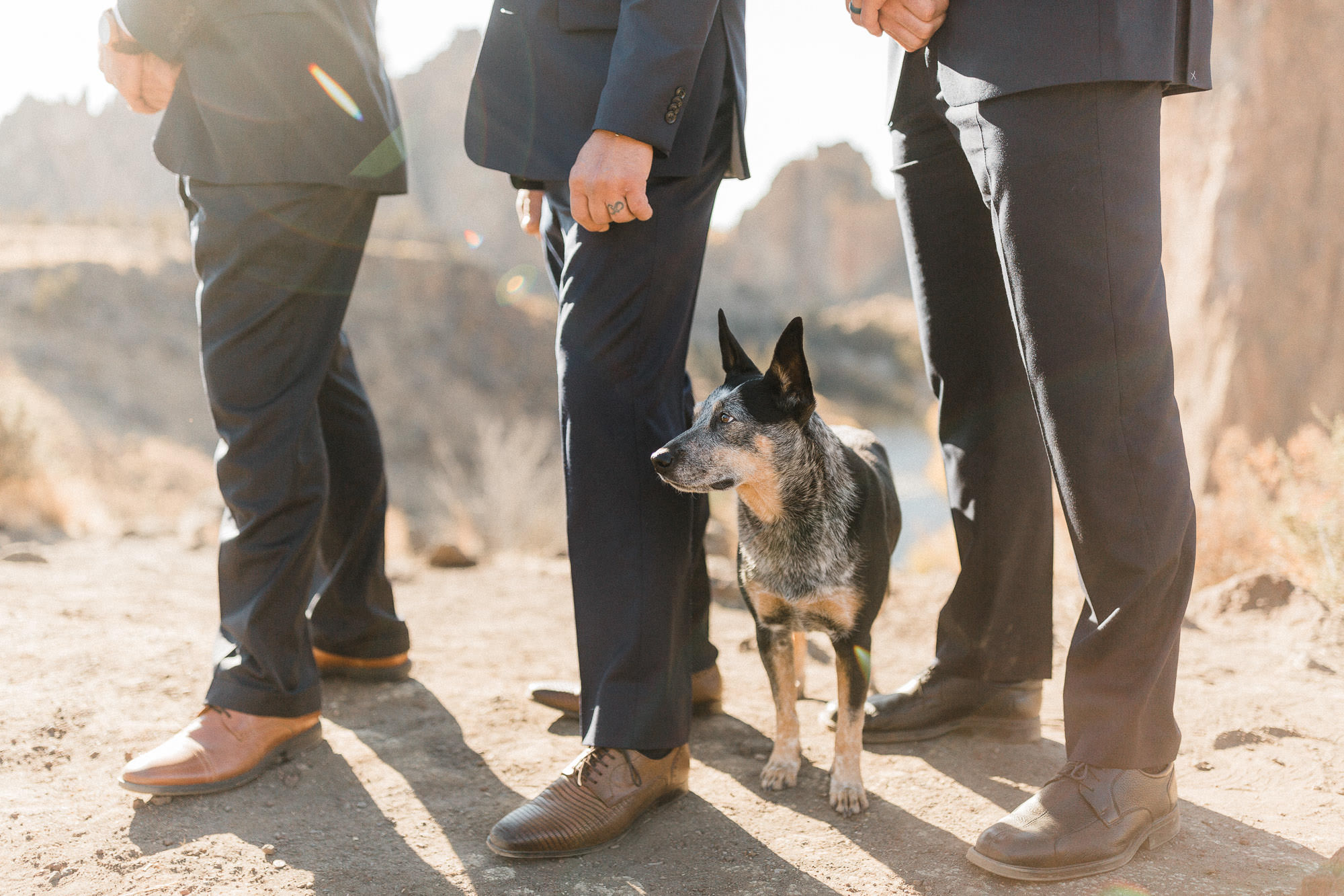 Dog stands among groomsmen during wedding ceremony at Smith Rock State Park