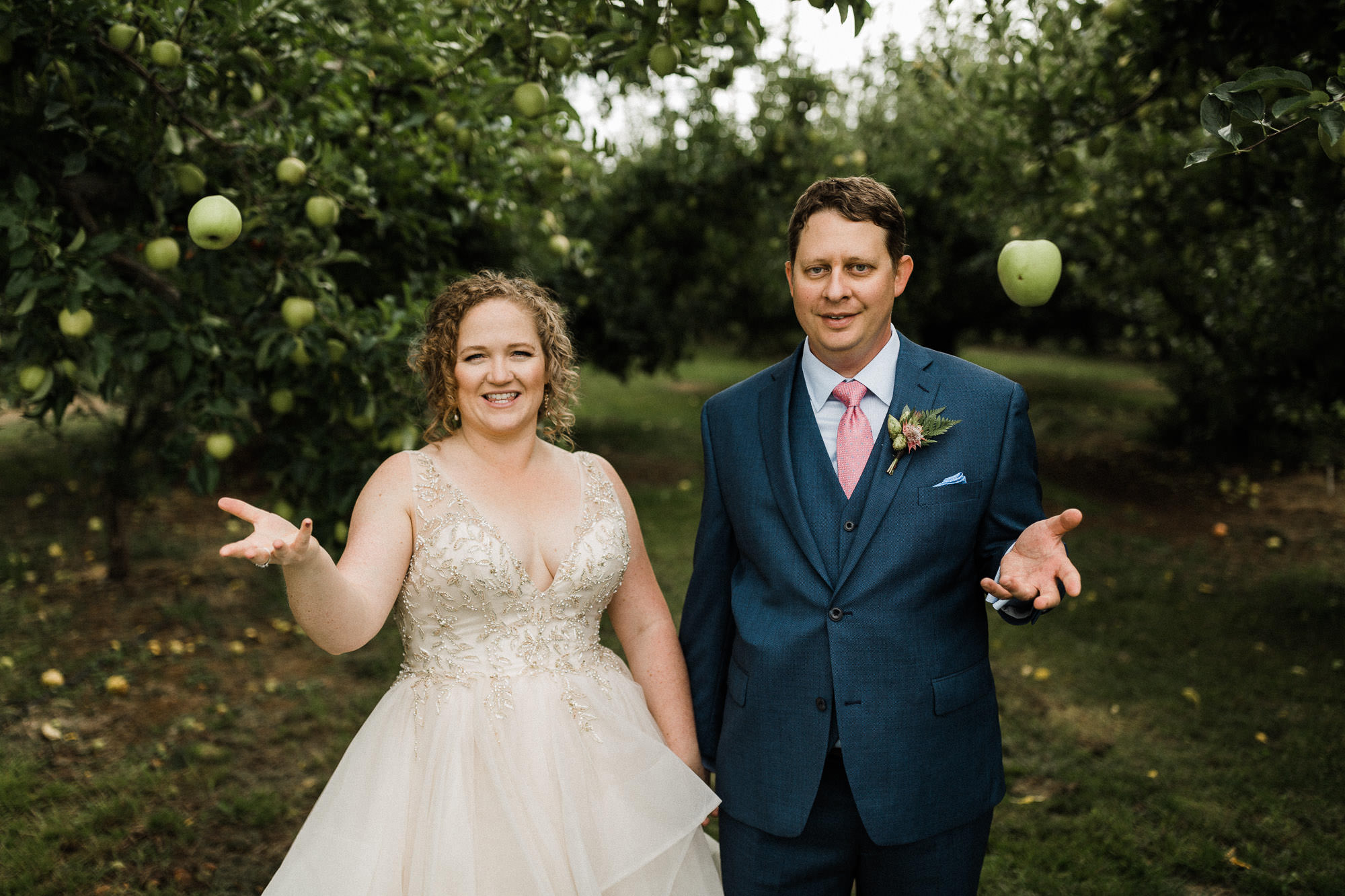 Bride and groom each toss an apple in the air while holding hands at Mt. View Orchards.