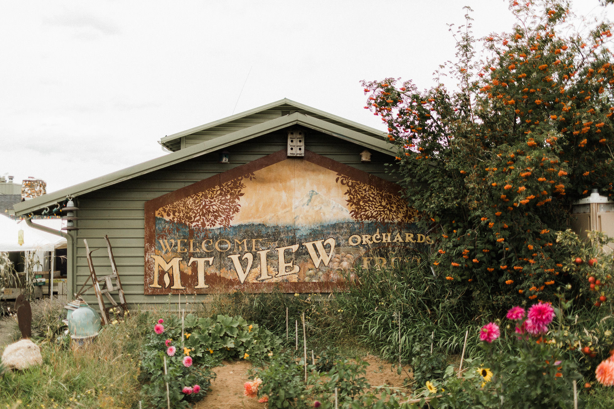 A large sign on the side of a house reads "Welcome to Mt. View Orchards."