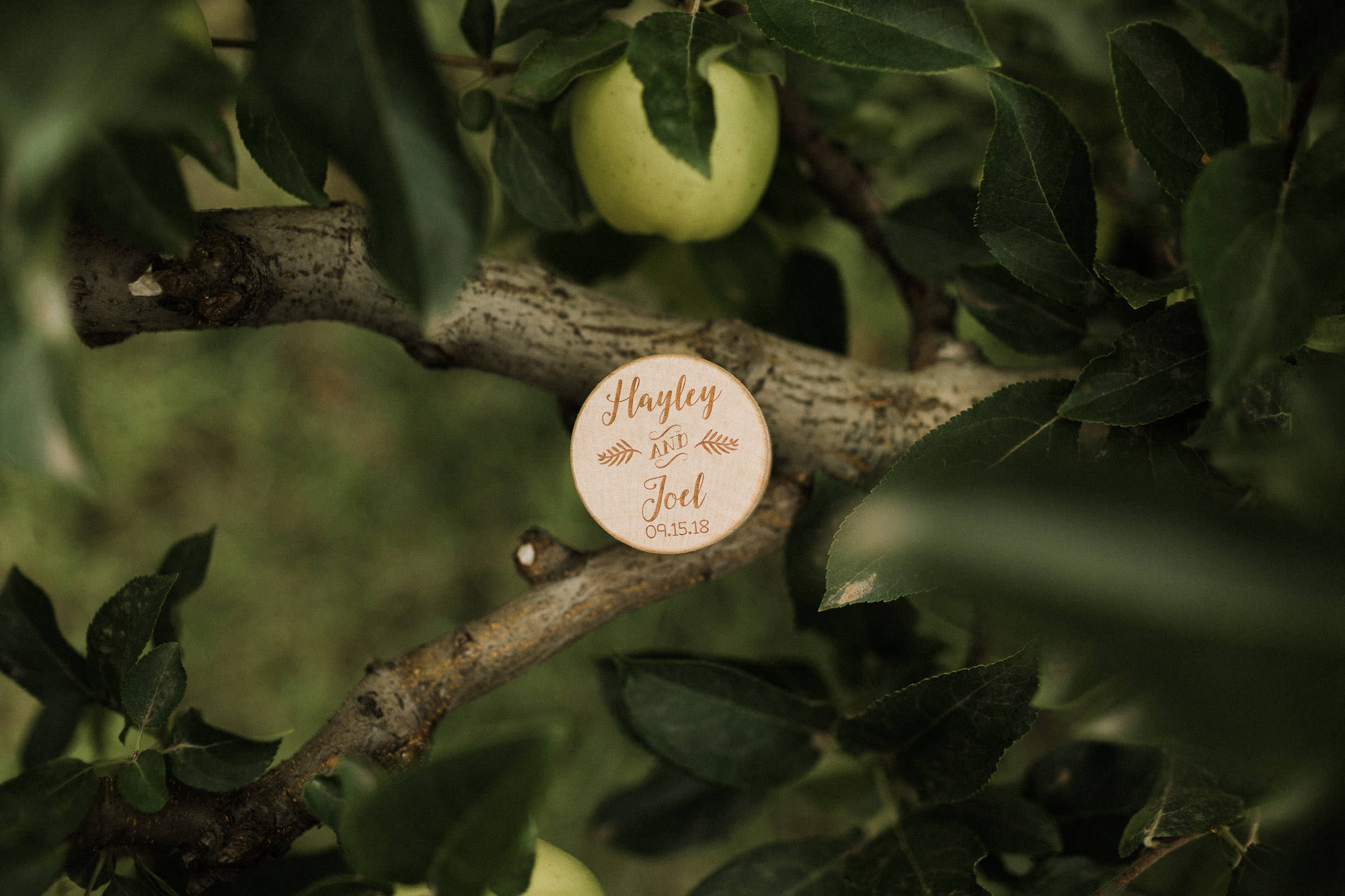 A ring box inscribed with "Hayley and Joel, 09.15.18" rests on the branch of an apple tree in Mt. Hood, Oregon.