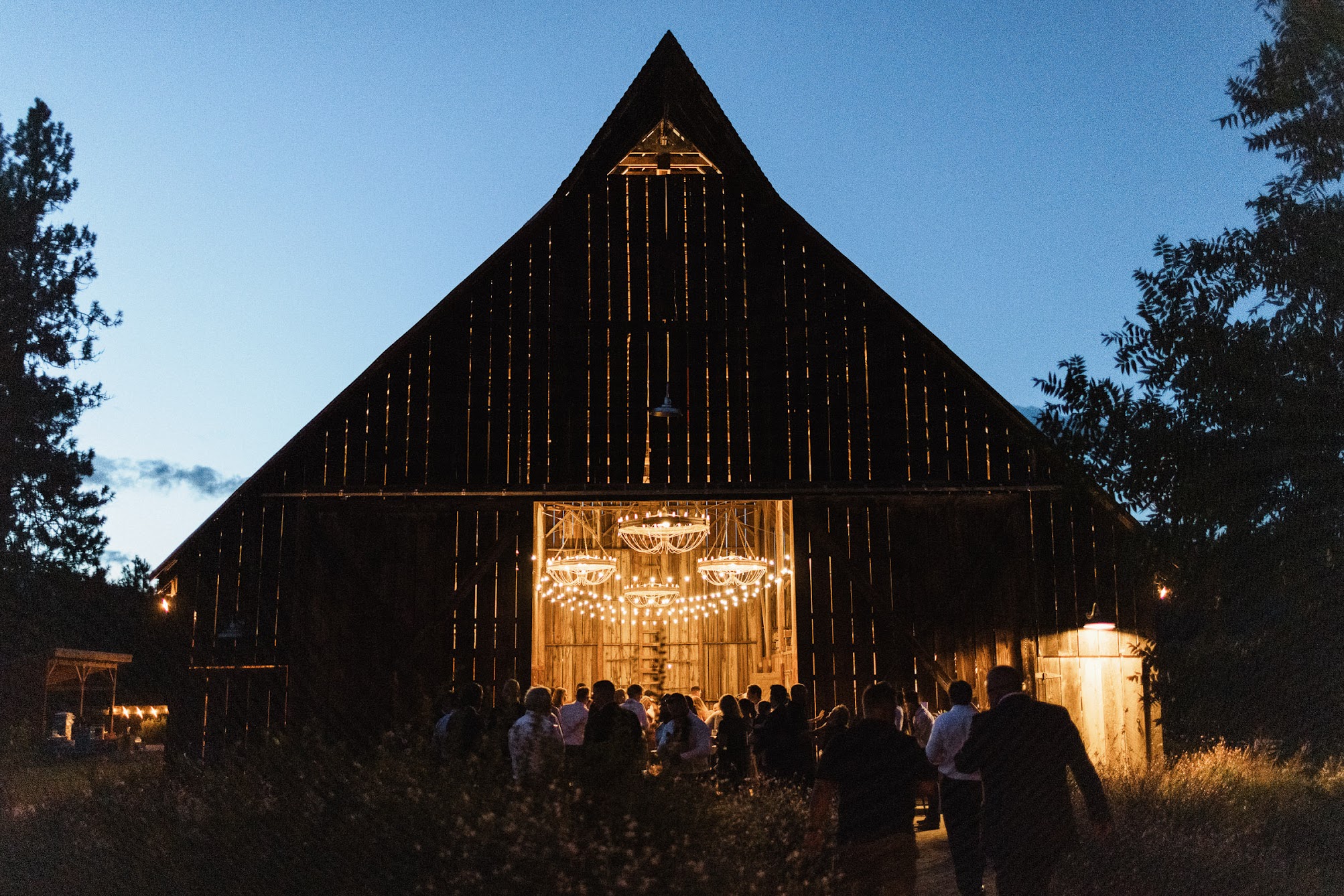 The Tin Roof barn all lit up for the wedding reception. You can see all the chandeliers hanging and the lights lit up in the dark.