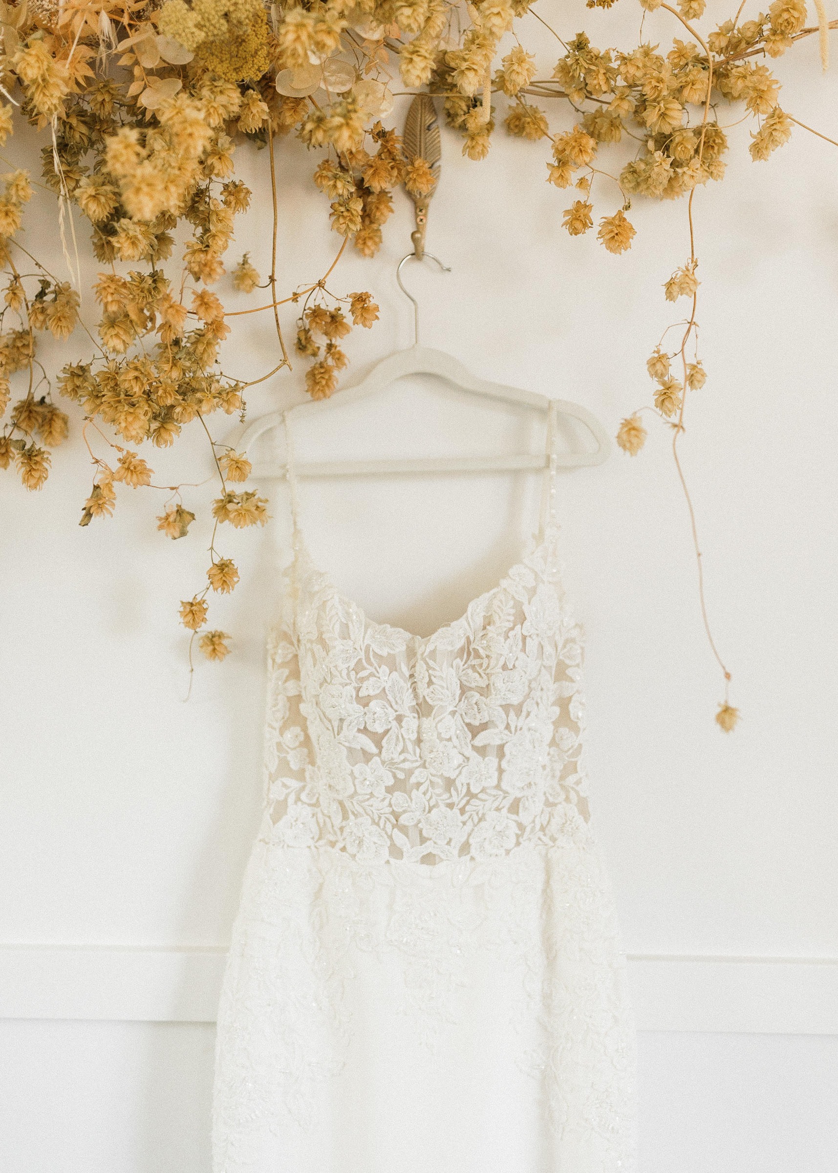 A white wedding dress hanging on a white wall beneath gold-hued dried hop vines