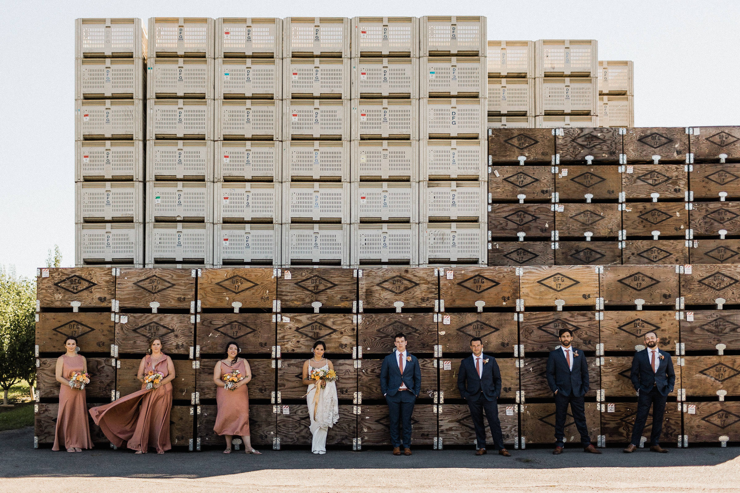 Wedding party posing in front of a giant stack of orchard crates