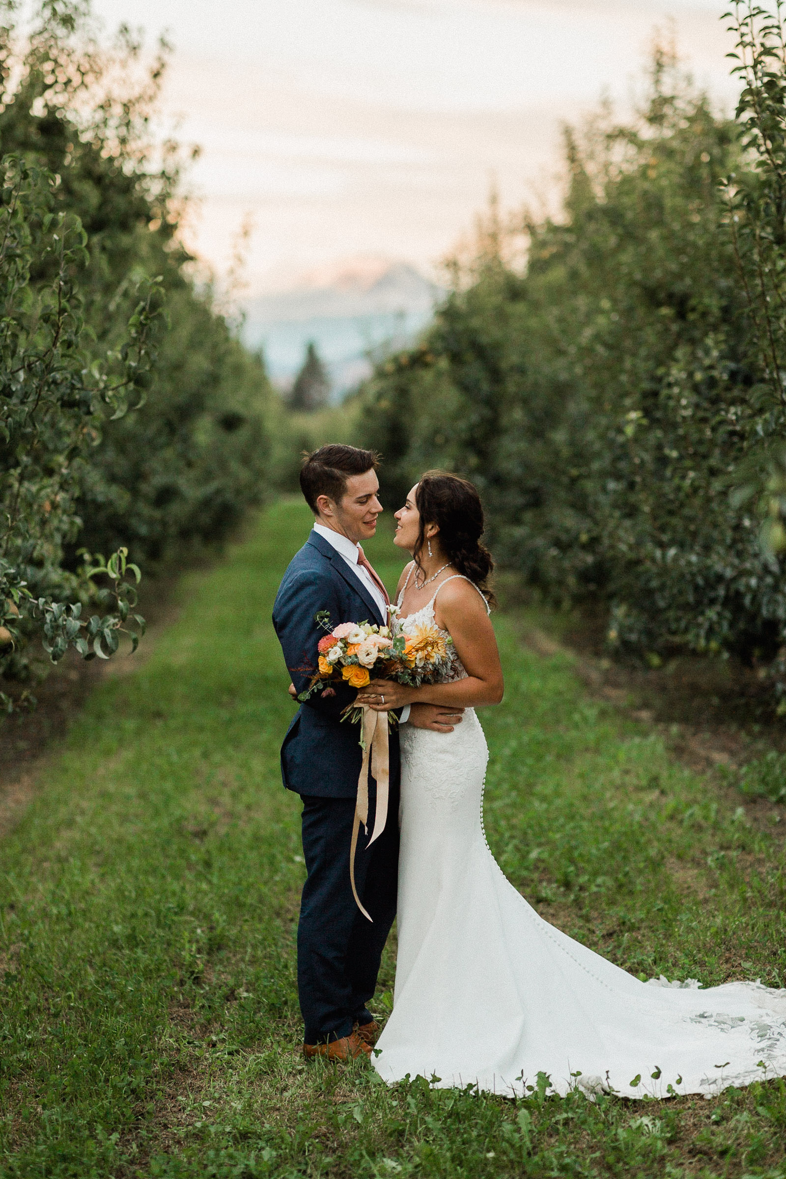 Bride and groom pose in an orchard row with a view Mount Adams