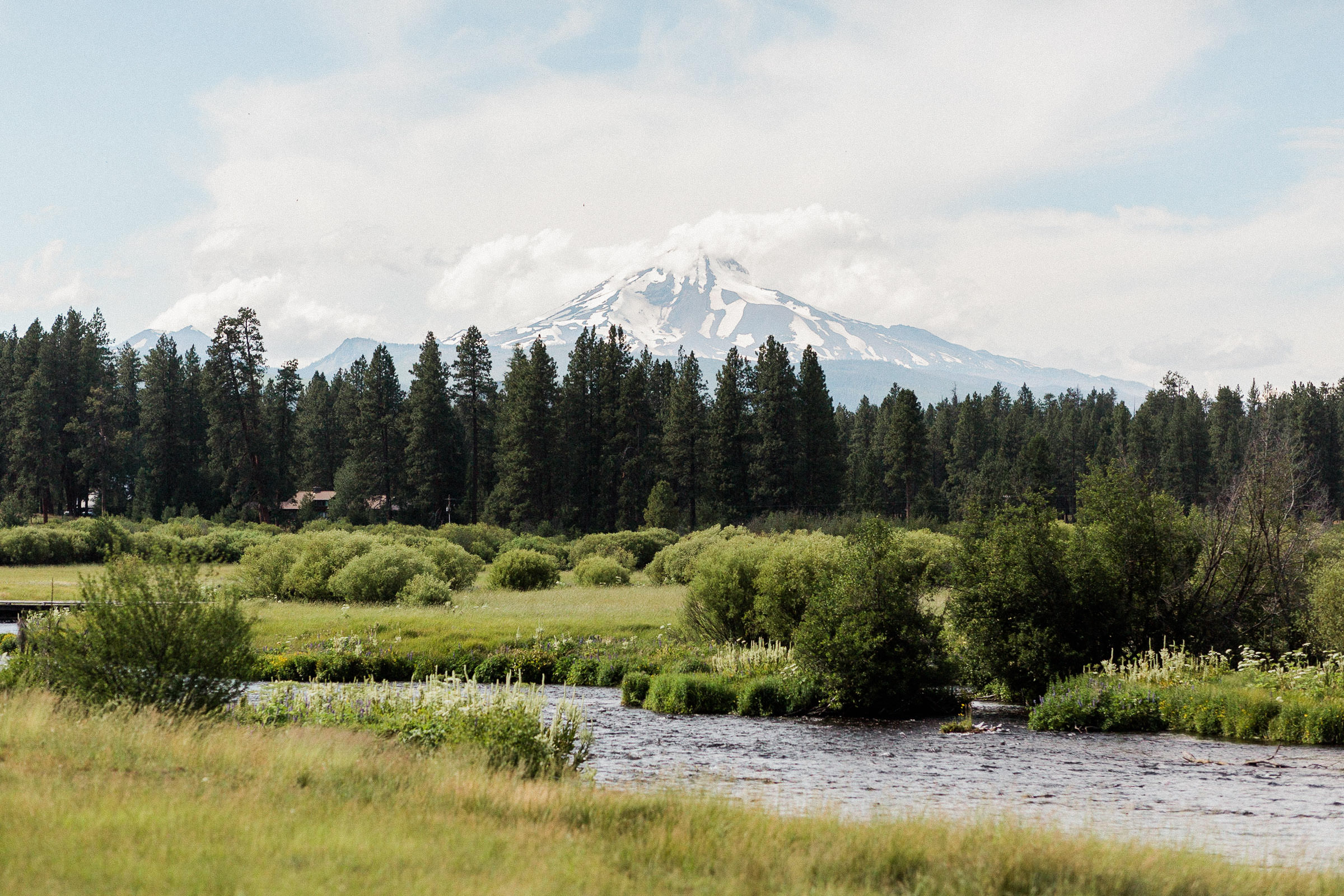 A view of the Metolius River running through a field with Mt. Jefferson towering in the distance